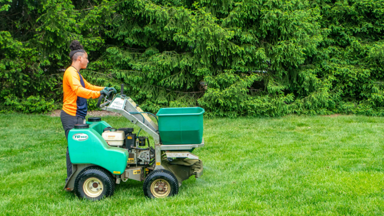 Why Lawn Care is Crucial to Your Home’s Garden